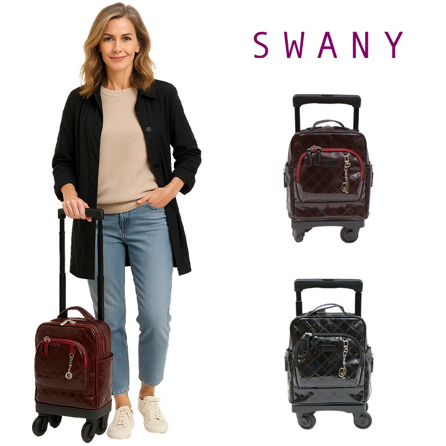 楽天市場】【SWANY】D-591 TS15 エマイロVI キャリーバッグ スワニー