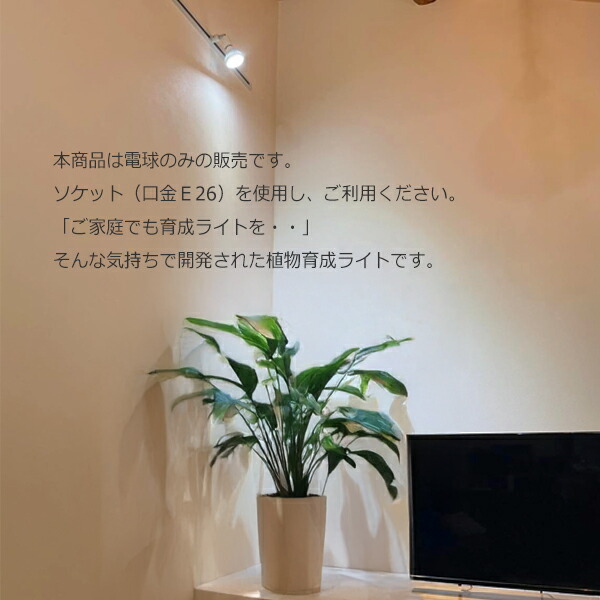 楽天市場】観葉植物 育成ライト 正規取扱い店 ホワイト ブラック WHITE