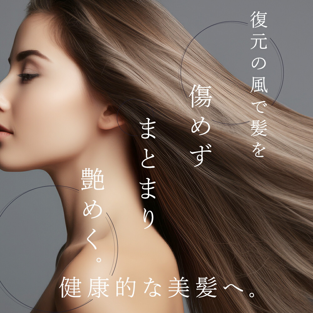 楽天市場】正規販売店 復元 スタイラー 8 日本製 ルーヴルドー LJS-365