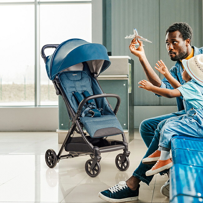 楽天市場】＼特典あり／正規品 イングリッシーナ クイッド2アルファ