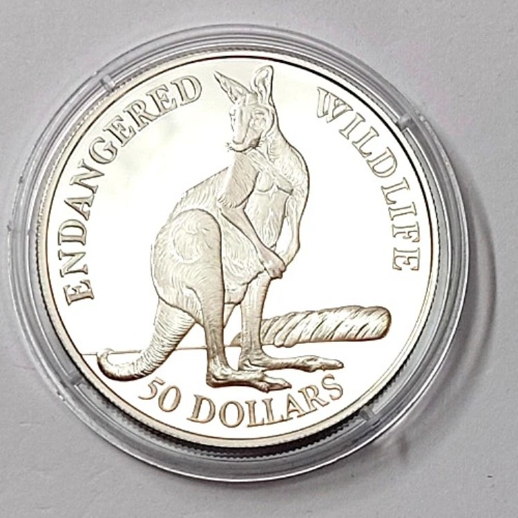 カンガルー 銀貨」の人気商品一覧 | 安い商品を通販サイトから探す