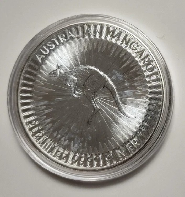 楽天市場】2021 銀貨の通販