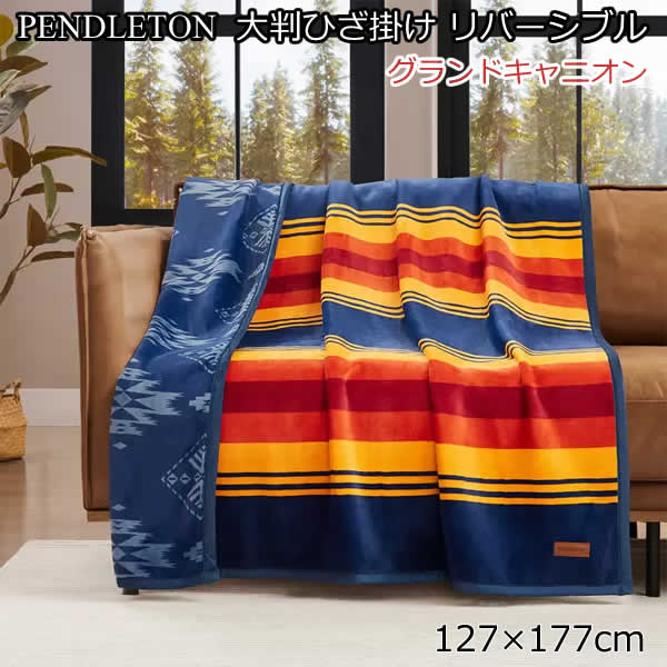 希少 限定 PENDLETON STUSSY 大判 ブランケット 希少 限定 PENDLETON