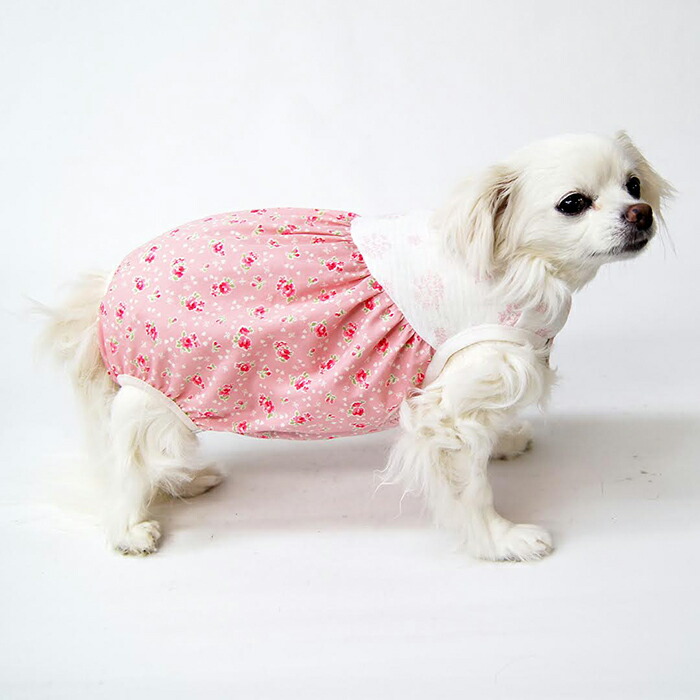 楽天市場】【胴長中型犬～胴長大型犬向け】おむつカバー型紙 : CELEBDOG