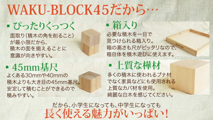 楽天市場】WAKU-BLOCK45 HG2 【予約・納期は数カ月】童具館 ワク