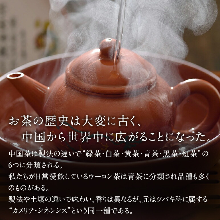 楽天市場】【DEAL 50%ポイントバック】【30%OFFクーポン配布中】高級