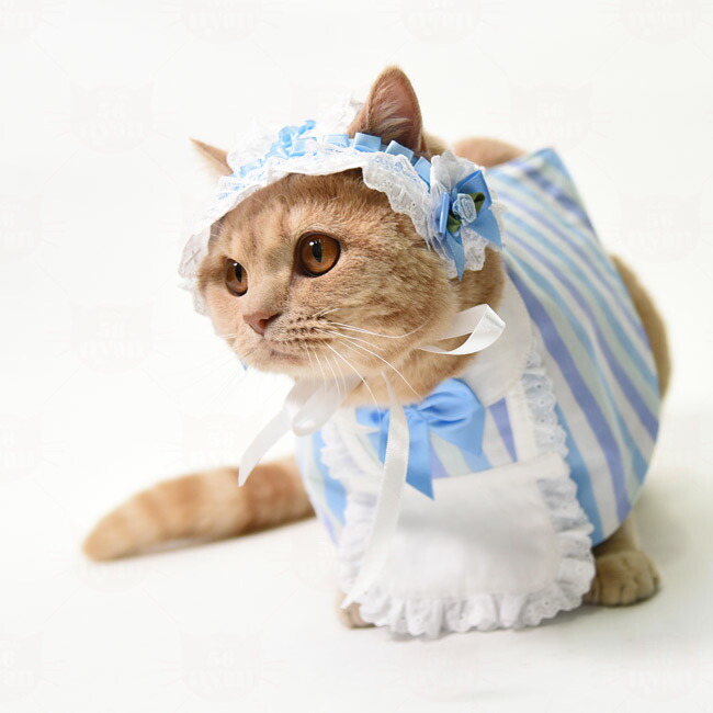 楽天市場】ゴロにゃんオリジナル 被り物 メイドさん気分用ヘッドドレス