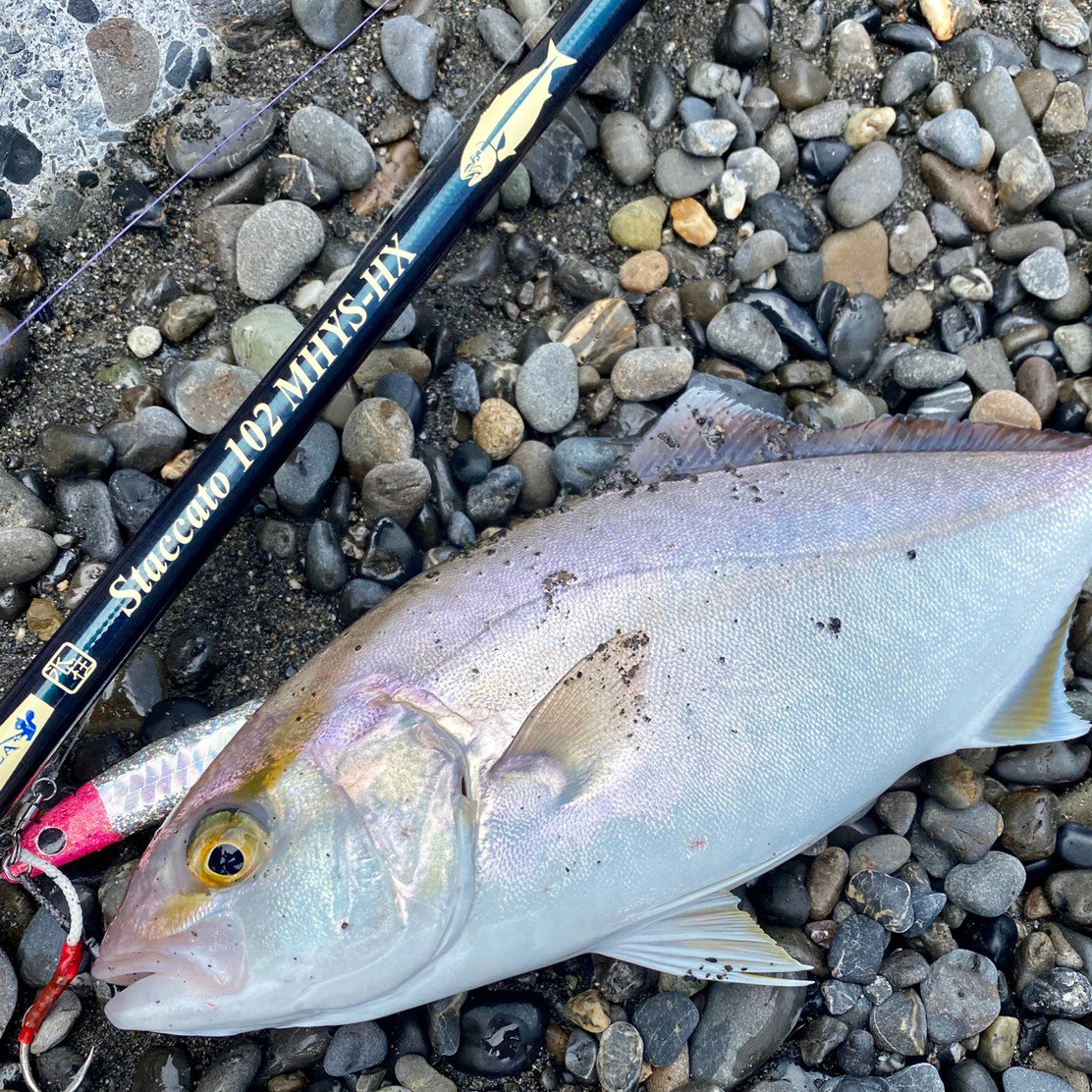 Staccato 102 MHYS-HX – TULALA online store