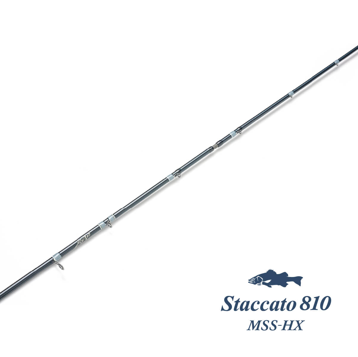 Staccato 810 MSS-HX – TULALA online store