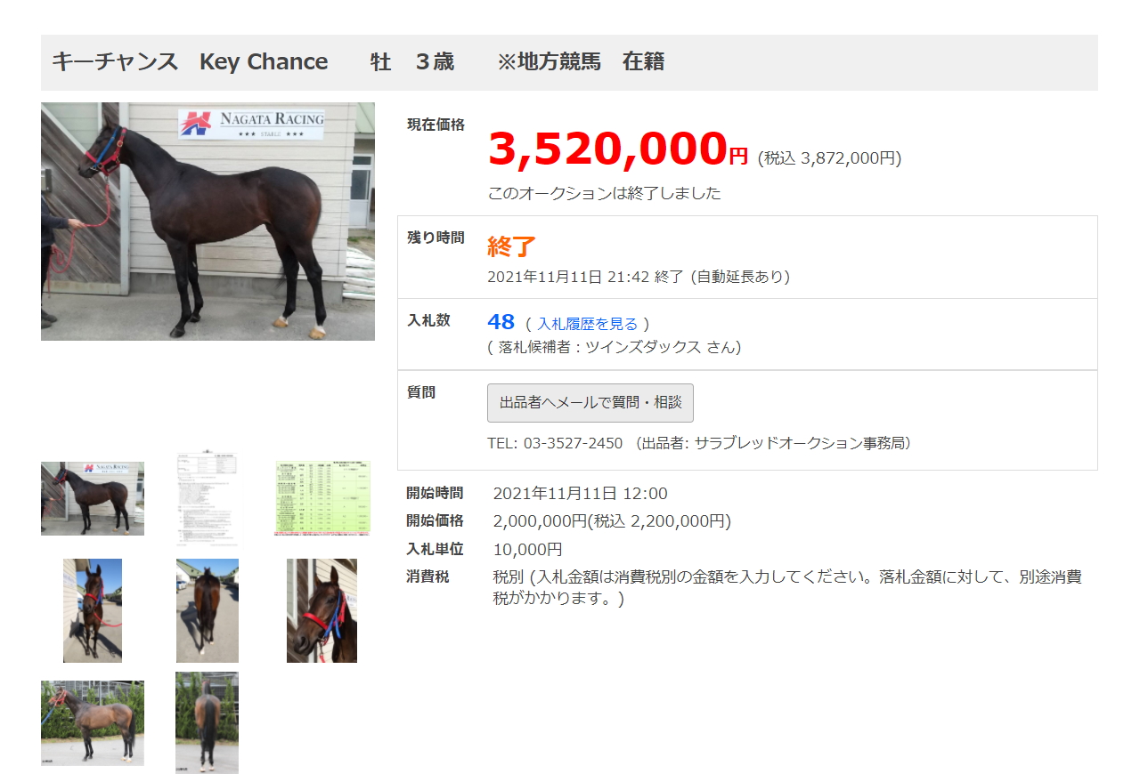 連載・馬主は語る］ほんとうに、これだけの差。（シーズン1-34