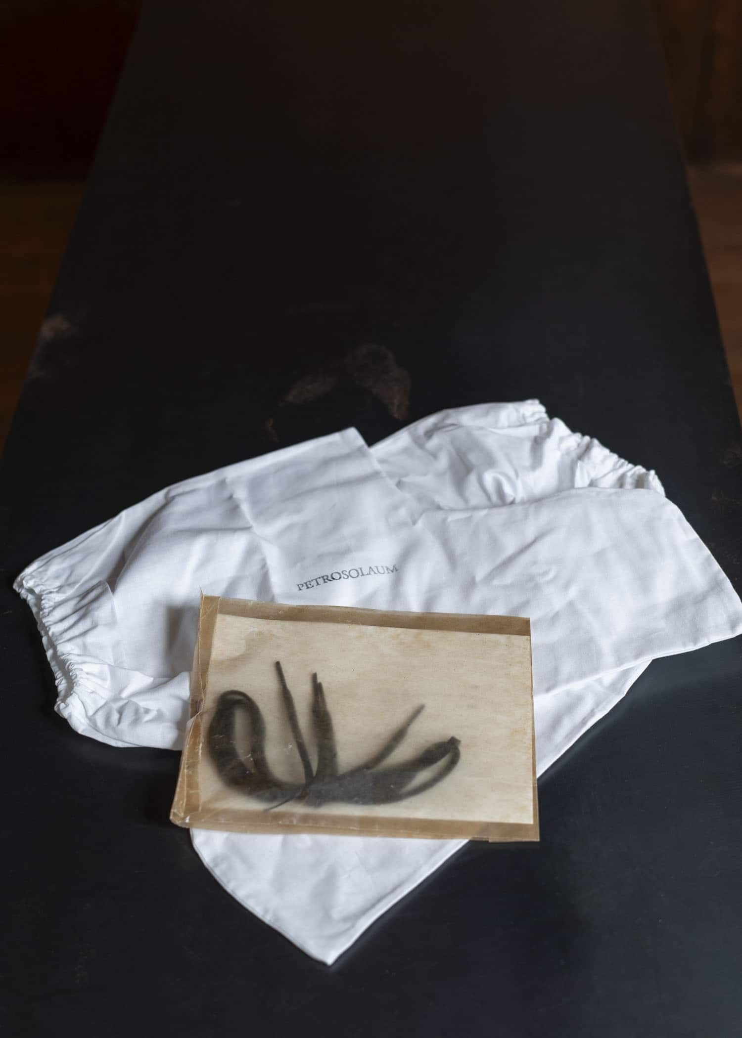 PETROSOLAUM 81128-PTR2 Drawstring BL – VISION OF FASHION