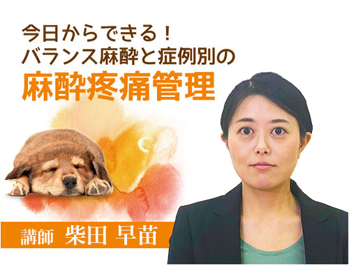 今日からできる！ バランス麻酔と症例別の麻酔疼痛管理|VetMovie 獣