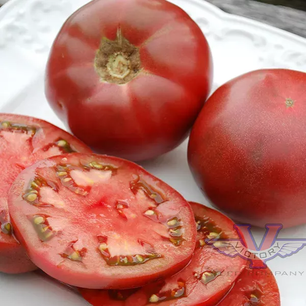 Cherokee Purple Tomato - Victory Seed Company