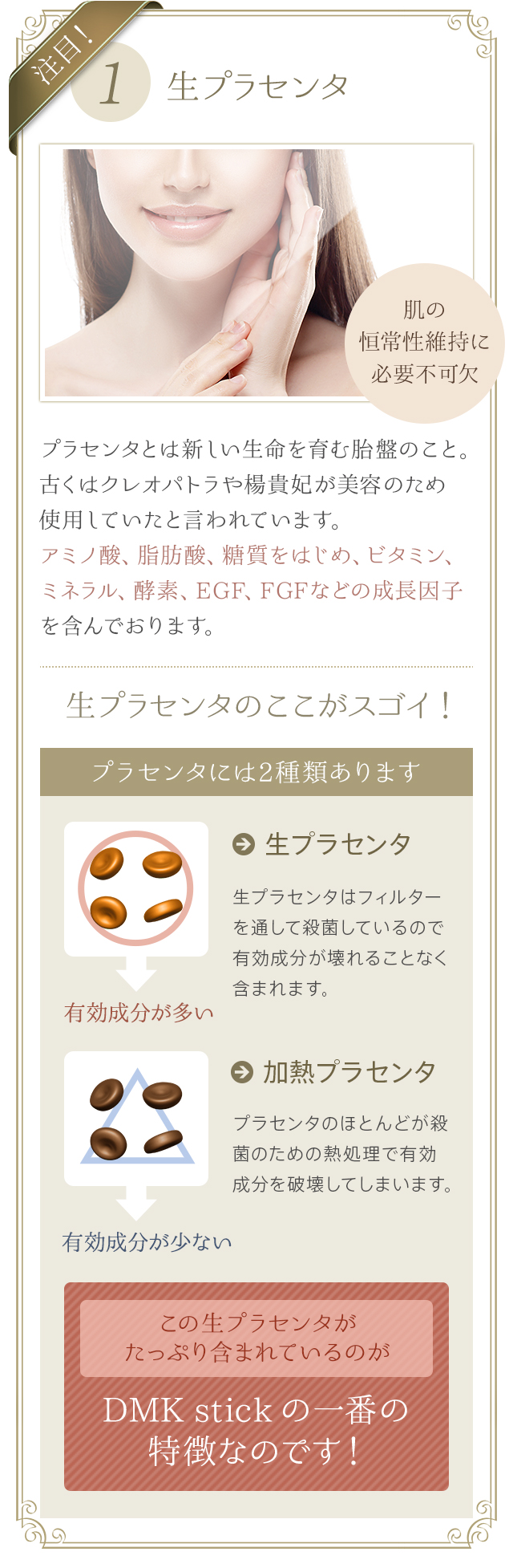 株式会社ワムのDMK stick