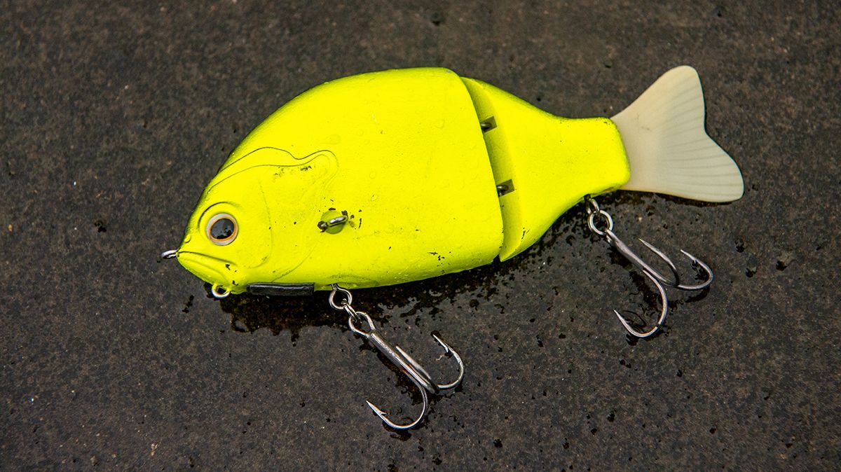 佐々木勝也／霞ヶ浦オカッパリにおけるビッグベイトの出し時を考える