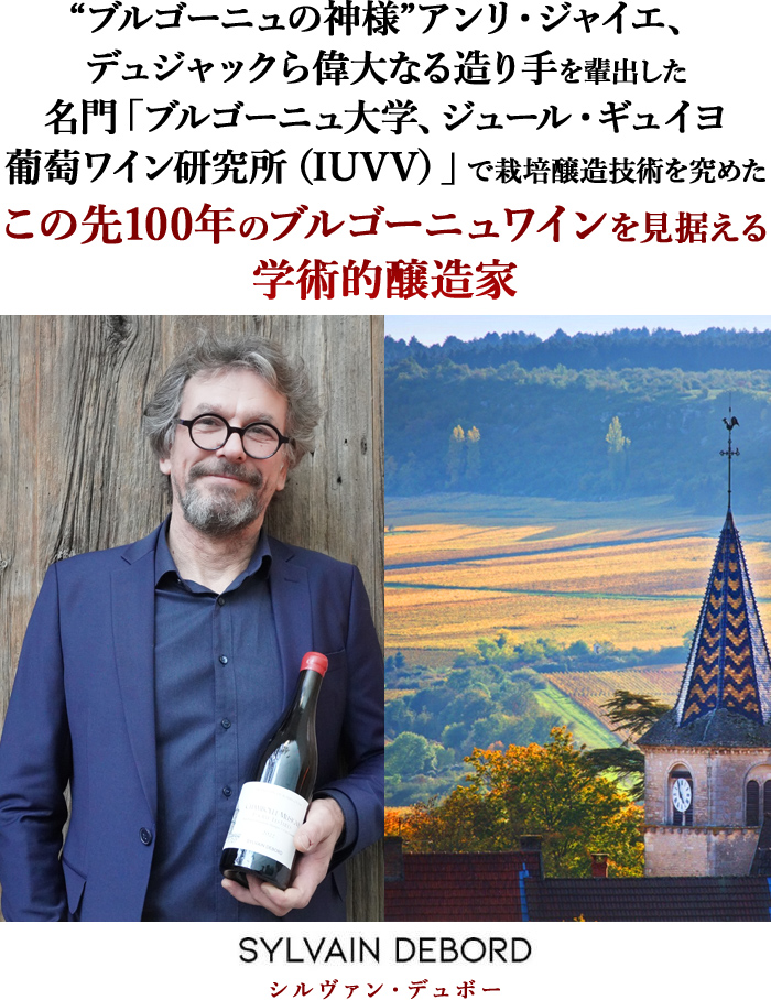 シャブリ シルヴァン・デュボー 2022年 フランス ブルゴーニュ 白