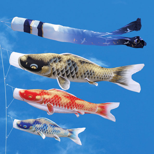 3m積美画サテン金彩鯉のぼり6点セット（ポールなし）が安い 東旭