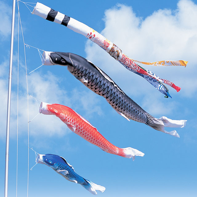6m積美画鯉のぼり6点セット（ポールなし）が安い 東旭鯉のぼり ～広島