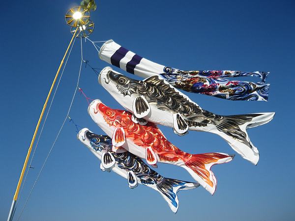 鯉のぼりベランダ用セットプラスが安い ～広島市の人形問屋十二段屋