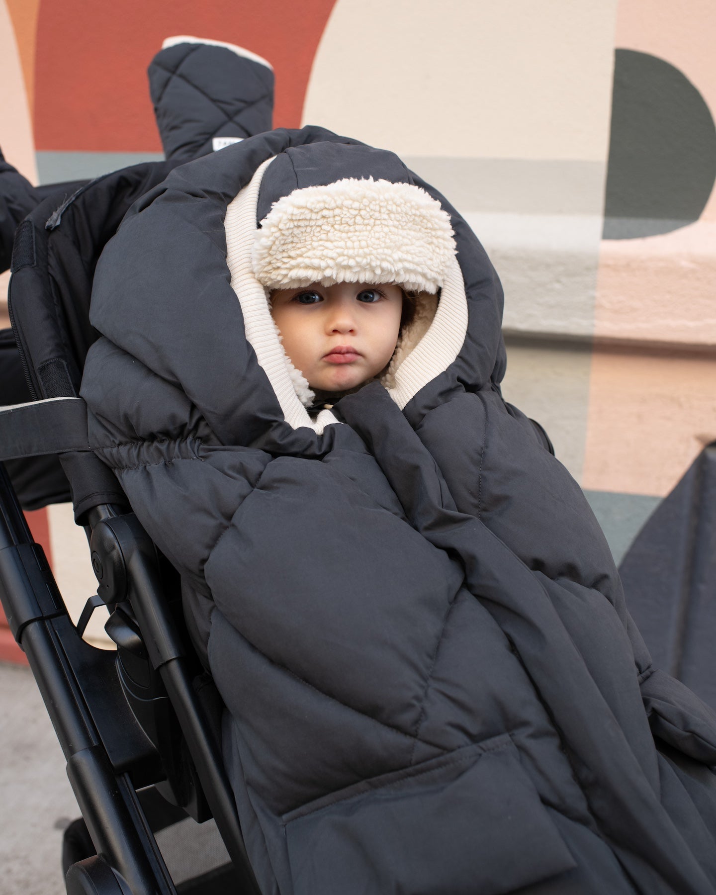 Blanket 212 evolution - Benji Sherpa