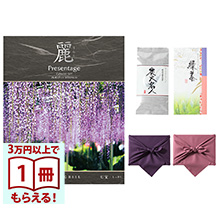 カタログギフト リンベル プレゼンテージ・麗(うらら) 〔七宝(しちほう