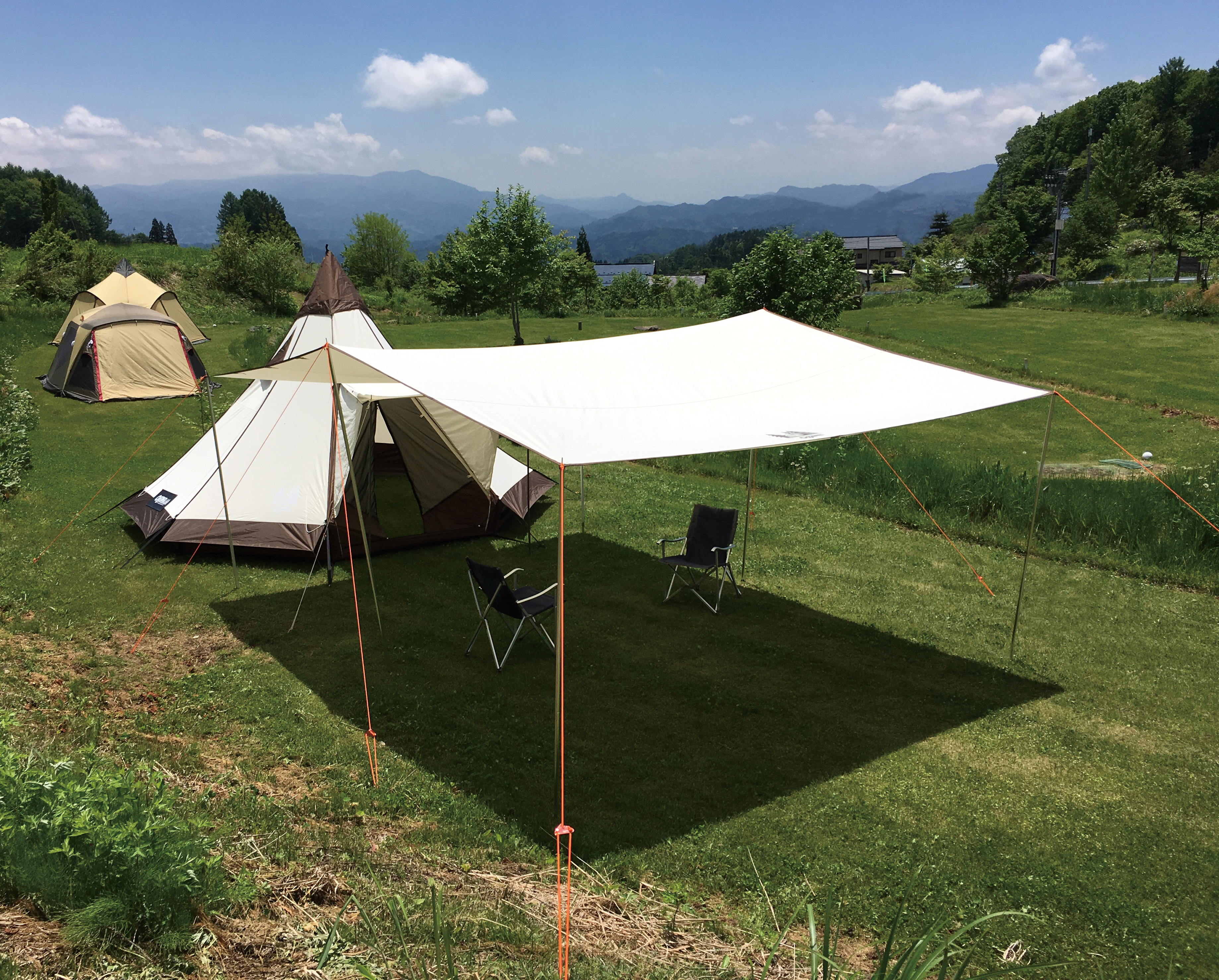 限定品】TCタープ発売のお知らせ（Recta Type・Hexa Type） | News