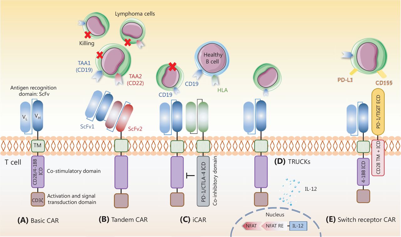 Advances in strategies to improve the immunotherapeutic efficacy