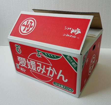 みかん(ミカン)10kg箱