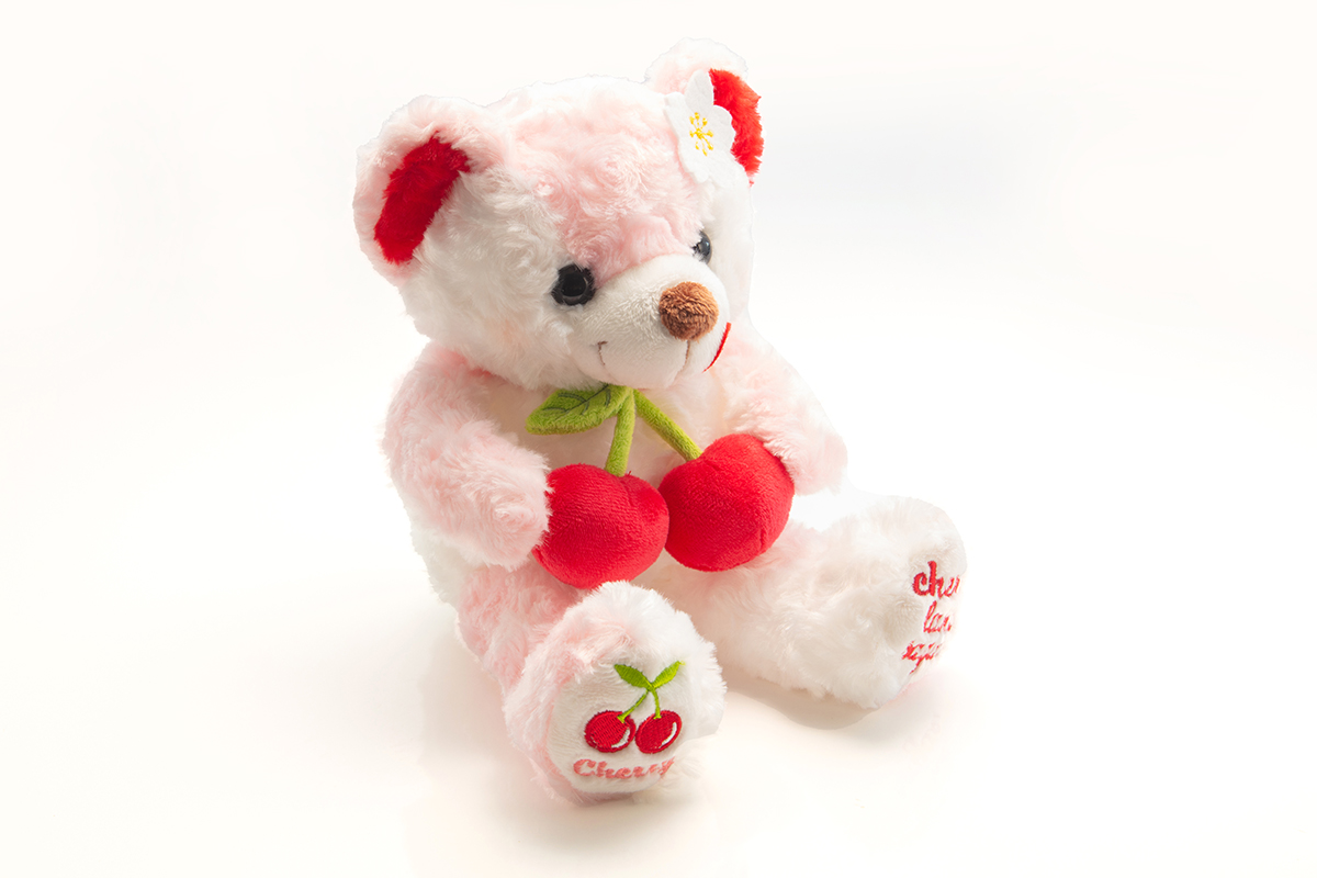 山形県道の駅寒河江チェリーランドさがえ[kokocherryオリジナル商品の一例]