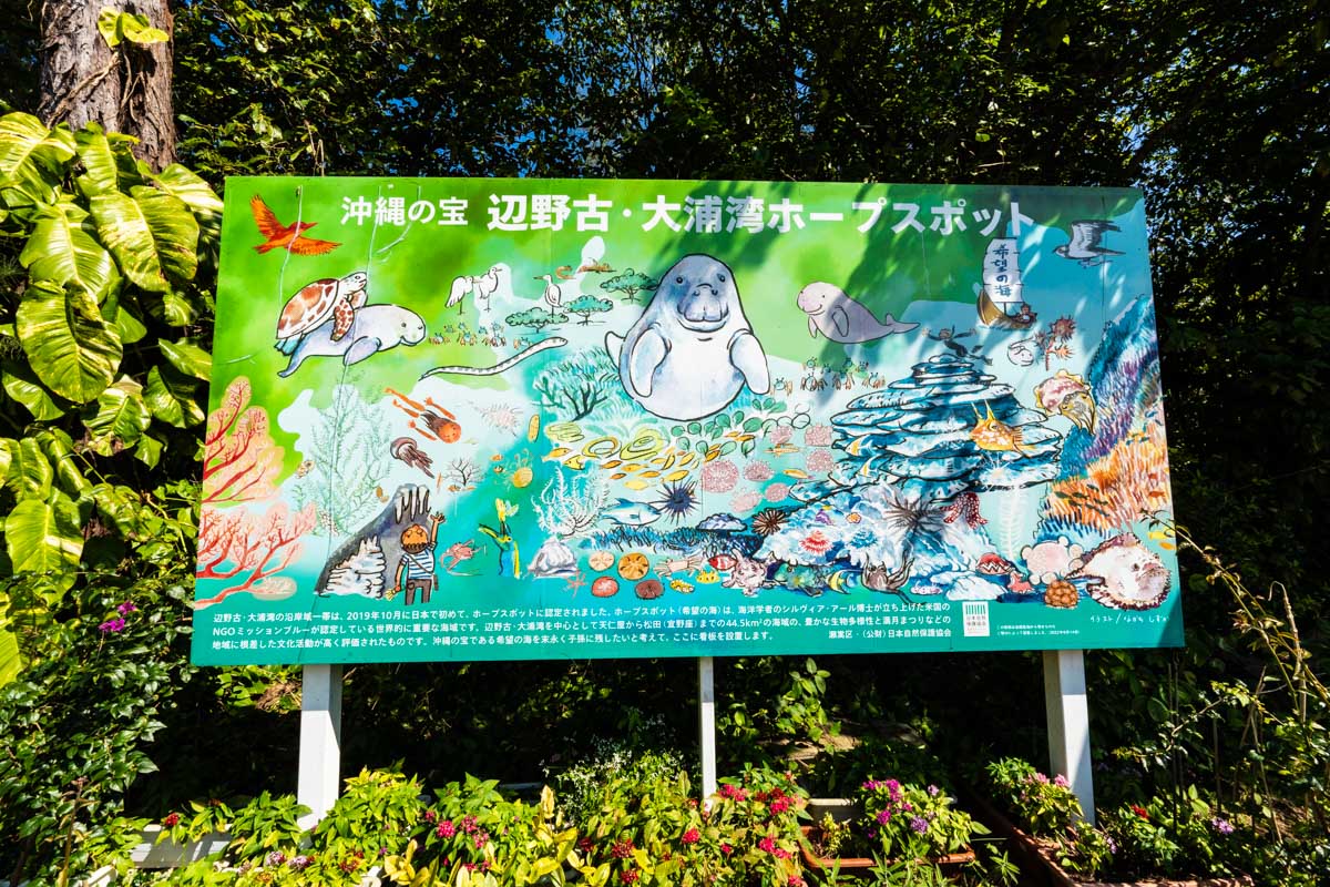 辺野古・大浦湾ホープスポット(希望の海) | 水中写真撮影 空 良太郎