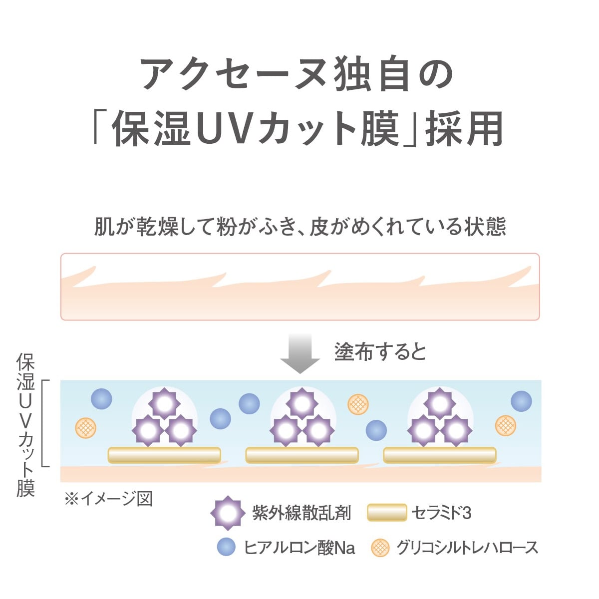 マイルドサンシールド SPF28・PA++｜アクセーヌ公式通販 - 皮膚生理学