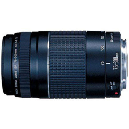 Canon EF 75-300mm f/4-5.6 III Lens 6473A003
