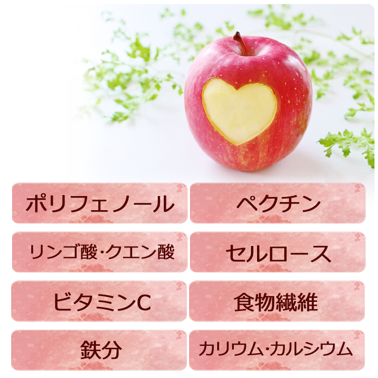 長野県産の完熟りんご100％ ジェニーさんのりんご畑 アップルチップス