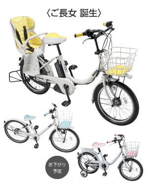 子供乗せ電動アシスト自転車 「Angelino petite e(アンジェリーノ