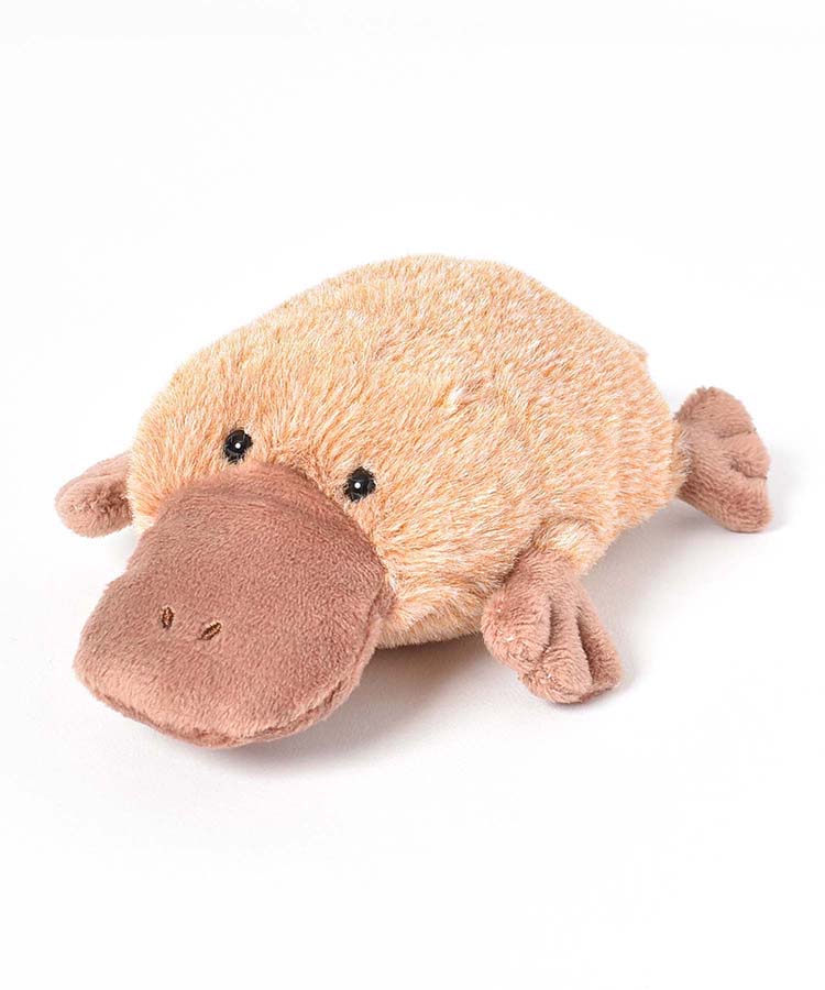 カモノハシぽちゃぬいぐるみ ぬいぐるみ キャラクター グッズ