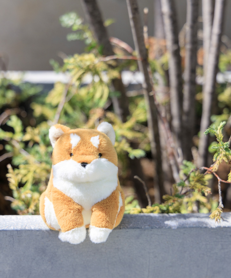 ぽちゃいぬぬいぐるみ ぬいぐるみ キャラクター グッズ ブルーエ