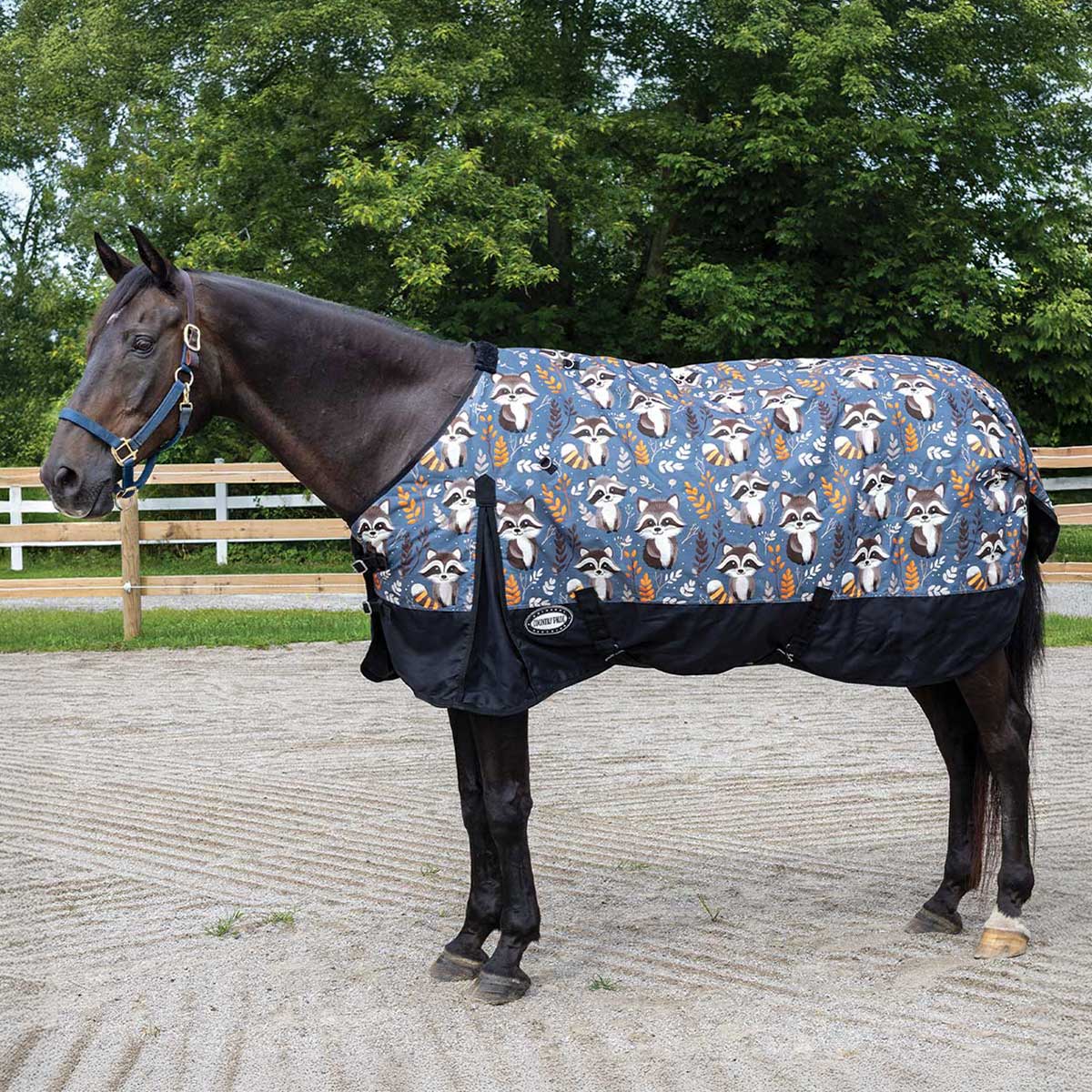 Country Pride Midweight 600D Turnout Blanket Raccoon Print | Big