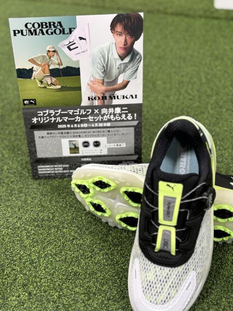 コブラプーマゴルフシューズ×向井康二 オリジナルマーカープレゼント