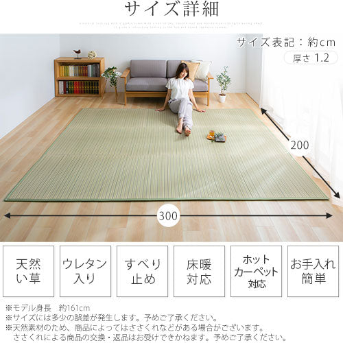 い草ラグマット 200×300cm ラグ い草ラグ おしゃれ ぼん家具 CPT000115