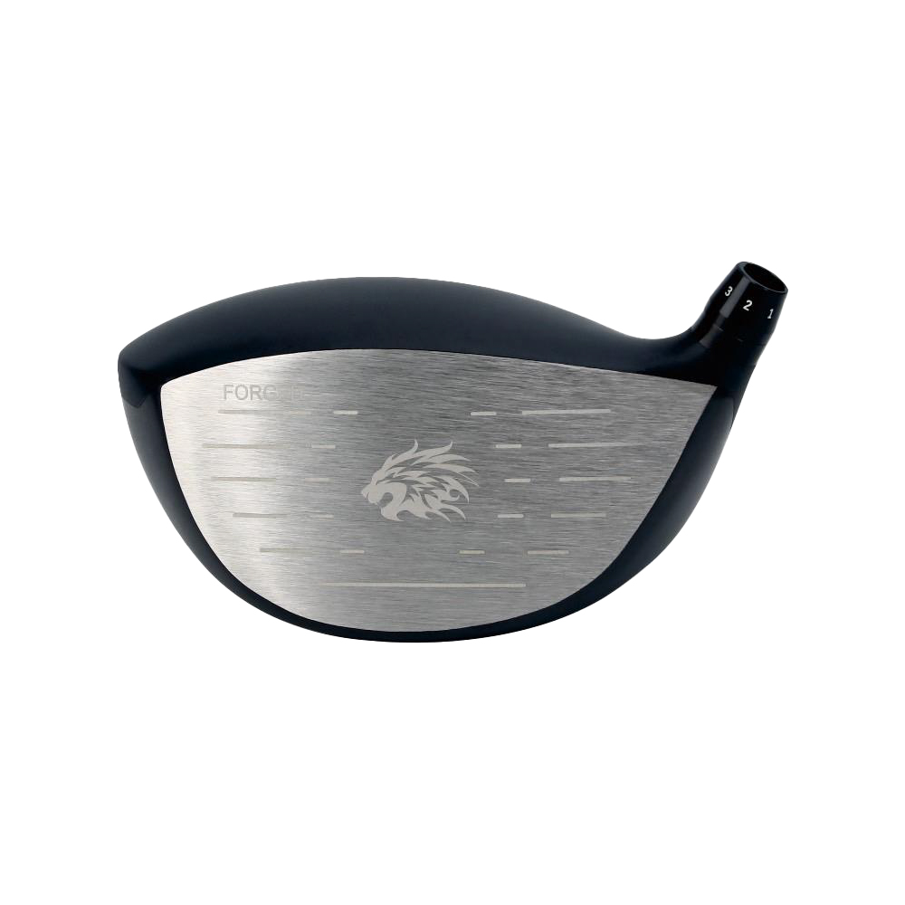 ジオテックゴルフ公式通販サイト / エミリッドバハマ CV8 ACE ヘッド