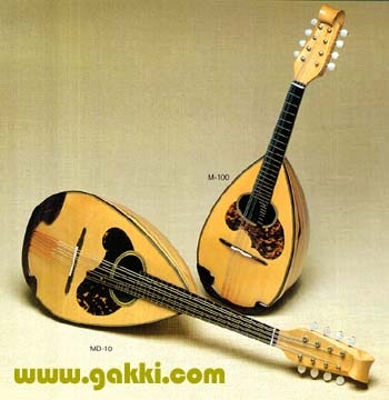 鈴木マンドリン、マンドラの販売～SUZUKI,ENA【ガッキコム】