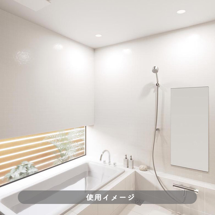 バスルーム ダウンライト Φ75mm・60W｜昼白色｜照明のライティング