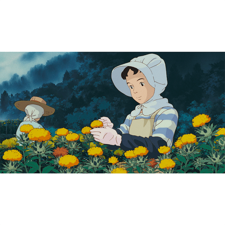 DVD おもひでぽろぽろ｜三鷹の森ジブリ美術館オンラインショップ