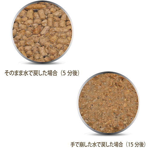 フィーライン ナチュラル フリーズドライ ラム＆キングサーモン