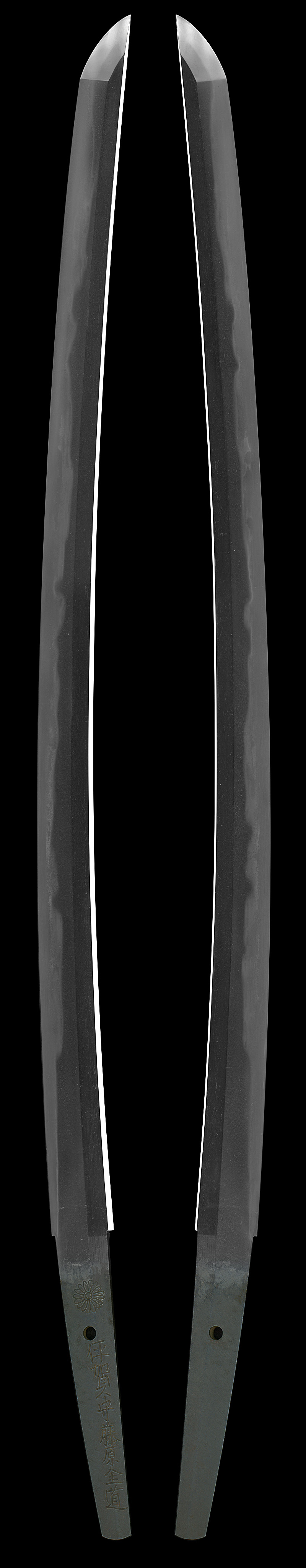 脇差 (菊紋)伊賀守藤原金道(二代) (業物)｜日本刀 刀剣販売のイー