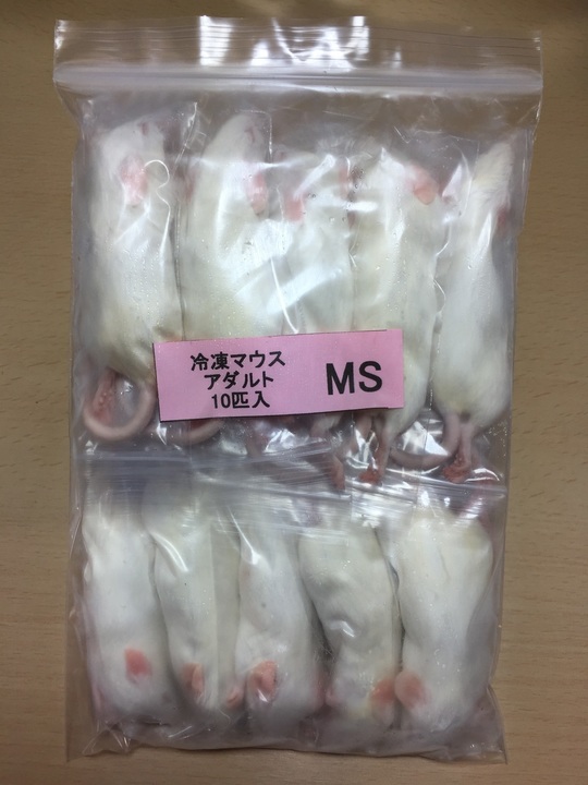 商品ラインナップ - esa屋 - 猛禽類・爬虫類・肉食魚の餌用国産冷凍