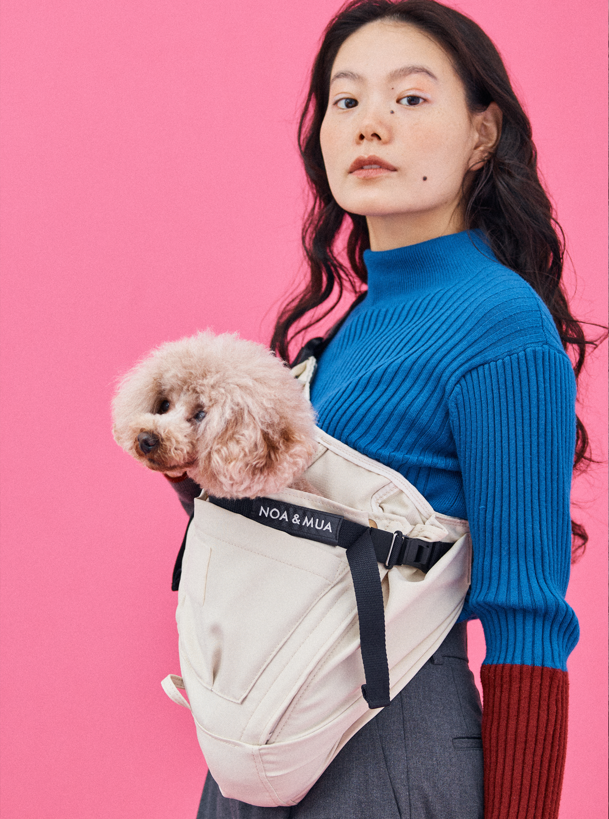 ドッグスリング・犬の抱っこ紐専門ブランド【ERVA/エルバ】公式 - 1