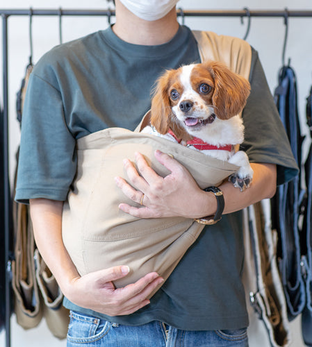 キャバリア | ドッグスリング・犬の抱っこ紐専門ブランド【ERVA/エルバ】