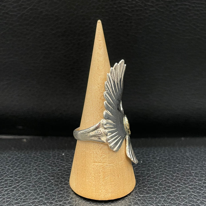 IMG_3538_720x.jpg?v=1711356213