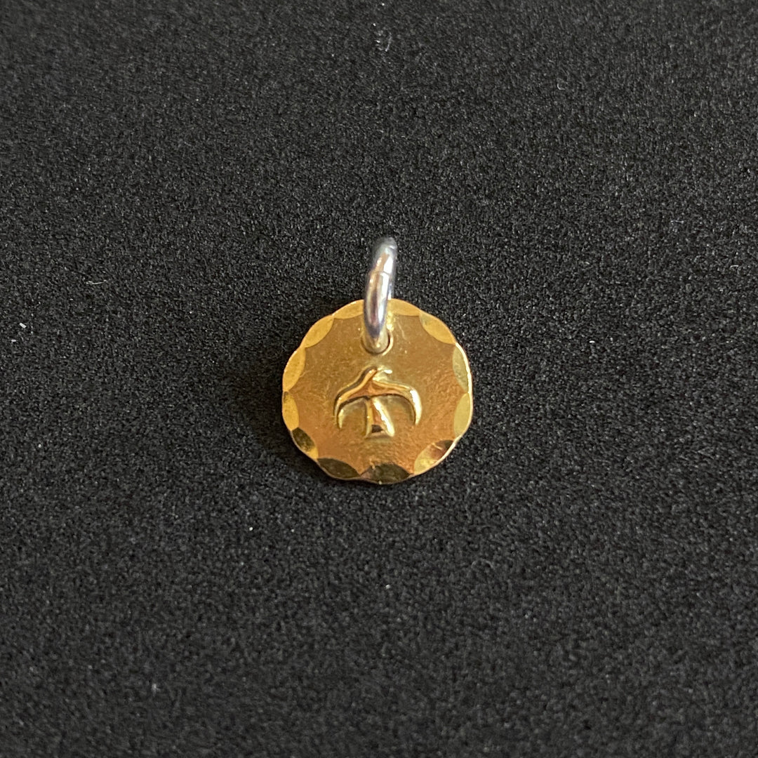 IMG_8406_1080x.jpg?v=1719034225